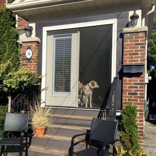 Vista-One-Screen-Door-1